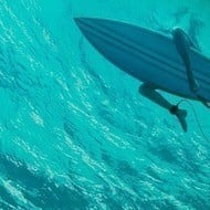 The Shallows